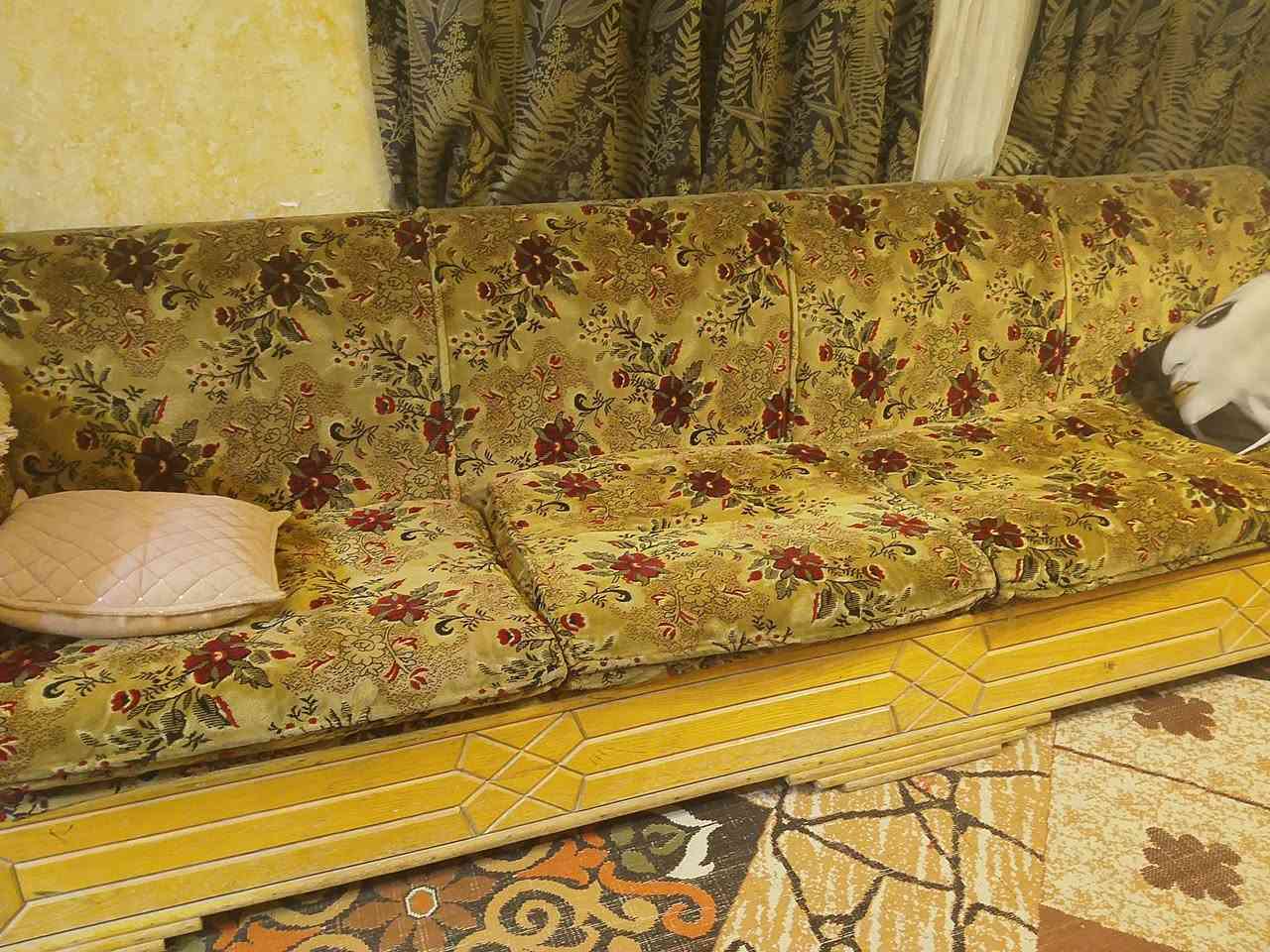 السلام عليكم تخم قنفات للبيع للاستفسار *********** السعر من 350وبي مجال
