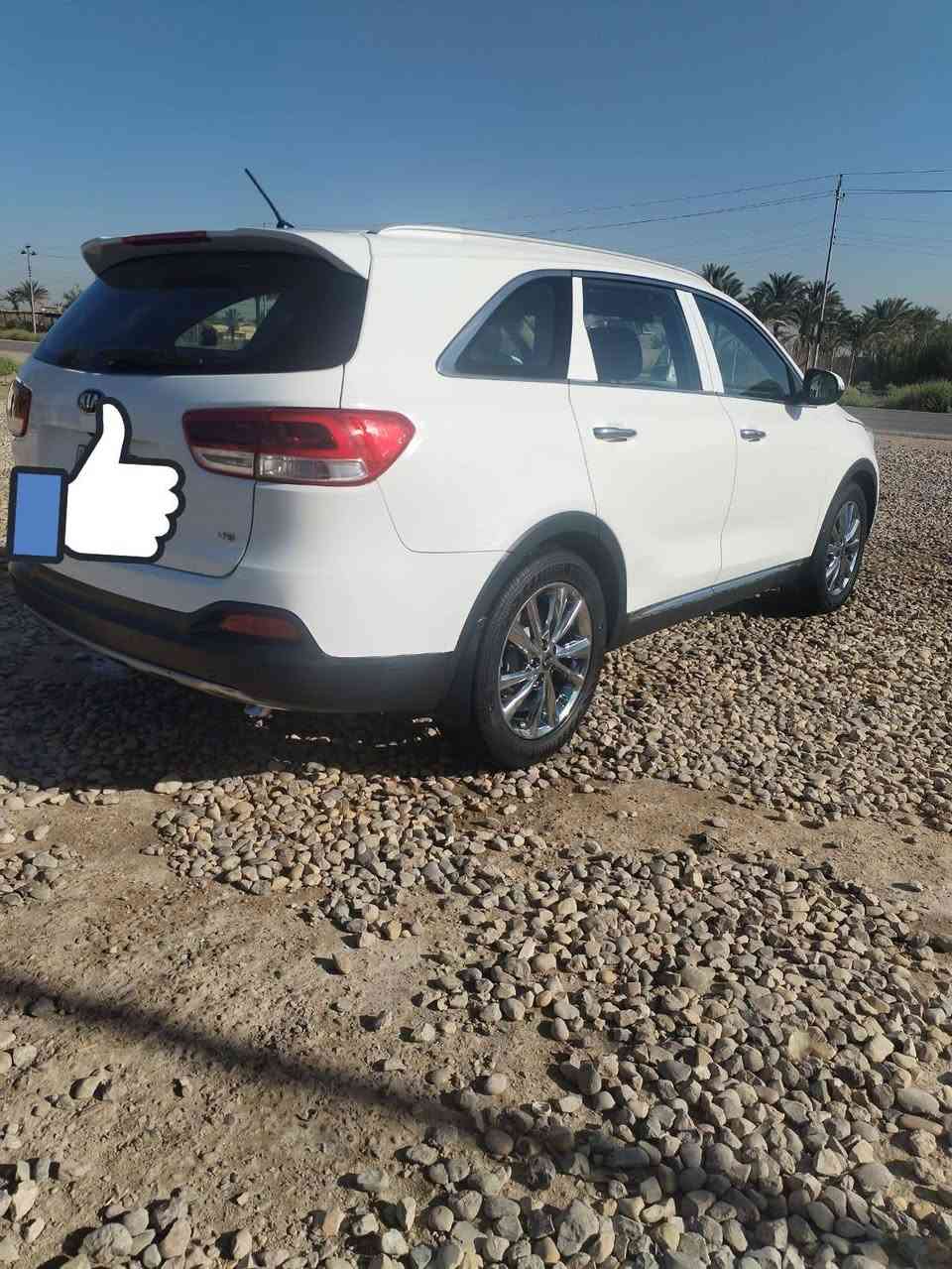 سورنتو خليجي • ٢٠١٦ • ٧ راكب