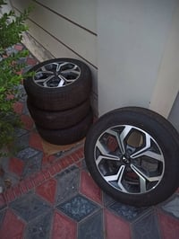 للبيع ماشيات ألف فقط ٠٧٧١٤٨٧٢١٠٠  السعر ٤٠٠