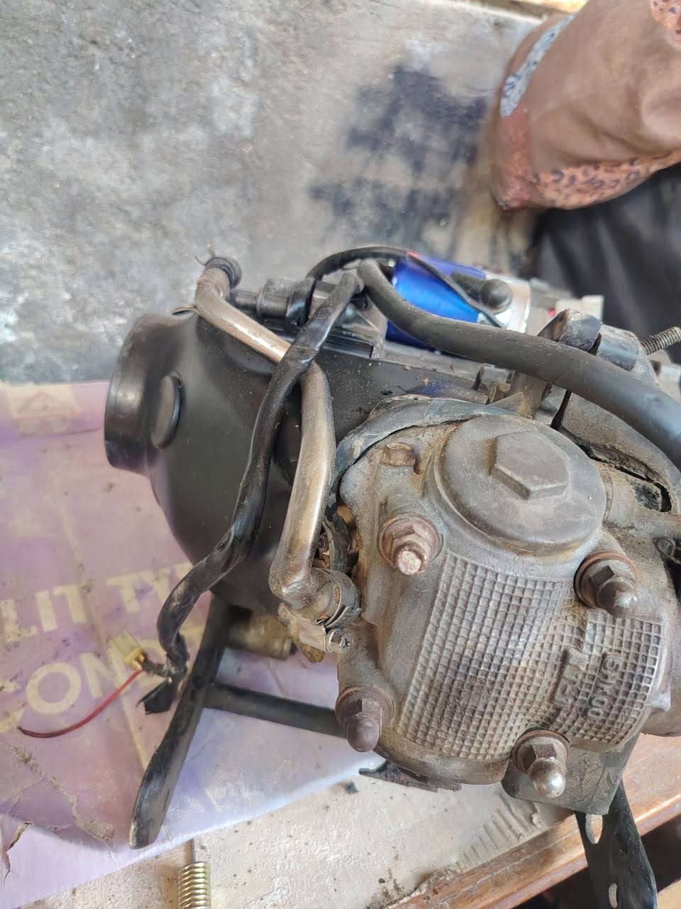 سلام عليكم طابوكه مال عدله لبيع يحتاج لها تجفيت جانت دخن
بيها فلاوين وسلف و كابريته و كلج خلفي شراي يتصل مستعجل عليها ***********
