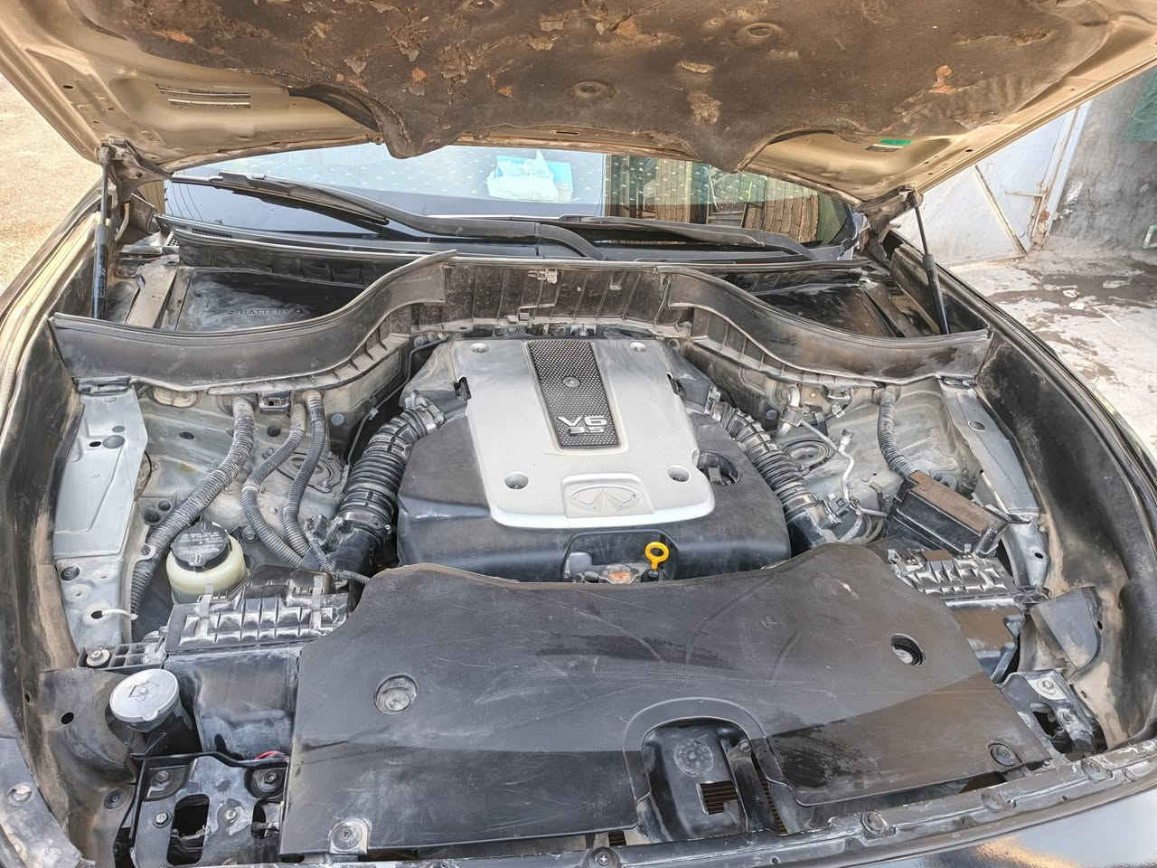 من رخصت الادمن السلام عليكم انفنتي fx35 موديل2011 تبريد شغال ثلج فول مواصفات تخم تايرات جديده السياره بصمه مكينه 6 سلندر مكينه 3500  السياره ماشيه 110 الف كيلو متر الكشن مدوشم جديد مكان السيارة بغداد ابو دشير
رقم بغداد باسمي السعر 88 اذا عجبتك اتصل  وتدلل 
‏‪***********‬‏ بيع بيع بيع
