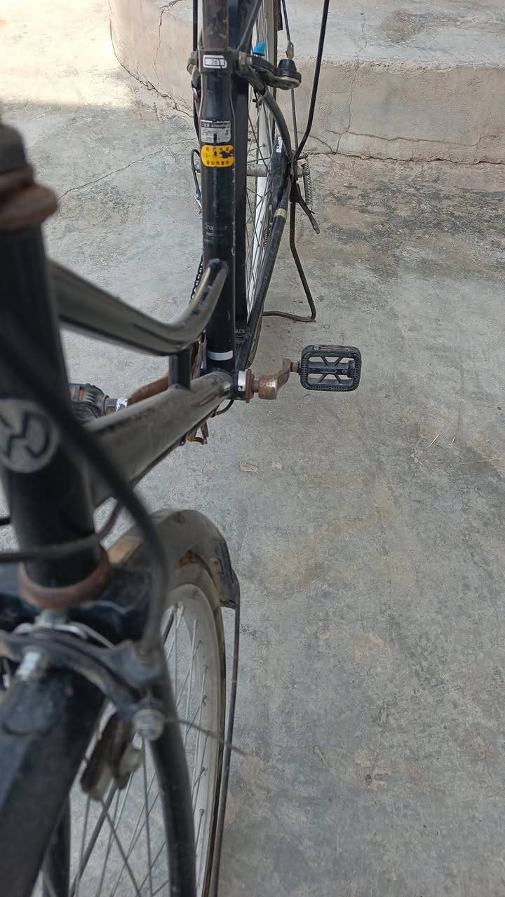 باسكيل ٢٦ • نضيف • كركوك