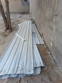 جينكوات • ٦م و٣م • المحمودية حي الجزائر