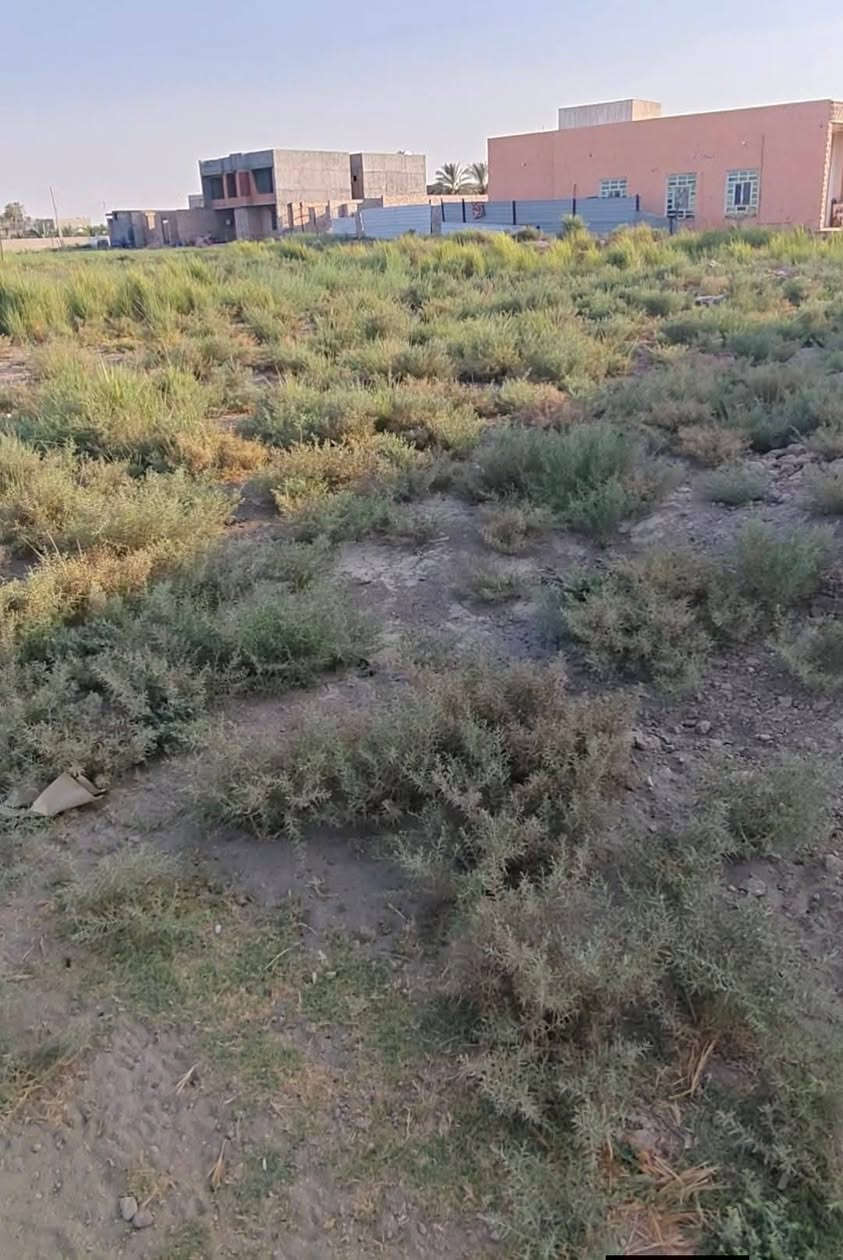 قطعه أرض للبيع طابو زراعي 500 متر في البوسوده على شارع عرضه 4 متر بسعر جداً مناسب للتواصل والاستفسار التواصل ع الرقم التالي ***********
،،،،، مكلف بلنشر

