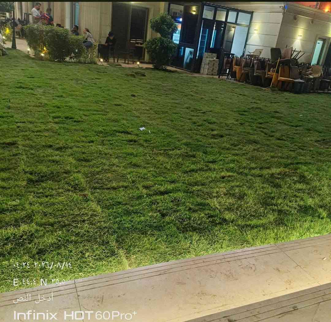 🟢! 🏡
مرحبًا بكم في مزارع الحسن للثيل الطبيعي 🌿🌱
نقدم لكم أجود أنواع الثيل الطبيعي الدائم الخضرة، يتحمّل كل الظروف المناخية 🌞🌧️
✅ عروض مميزة بأسعار تنافسية
✅ تجهيز وفرش الحدائق والمنازل ودوائر الدولة والملاعب والمنتزهات
✅ جودة عالية + خدمة توصيل خلال 24 ساعة 🚛
💸 الأسعار تختلف حسب الكمية

📞 للاستفسار: تواصل معنا عبر الاتصال أو الواتساب من خلال رسائل الصفحة الآن!
***********

#ثيل_ديالى #عروض_الثيل #خدمات_حدائق #مزارع_ديالى

نص مكتوب في الصور:
- هندي ثيل طبيعي بنواعة ٣ أغسطس، الساعة ١٠:٤١ ص
- ٠٤:٢٤ ٢٠٢٦/٠٨/١٤
- E ٤٤,٤ N ٣٥,٠
- أدخل النص
- Infinix HOT 60 Pro+
- ٢٠٢٦/٠٧/٢١
- Diyala Governorate, العراق
- Infinix HOT 60Pro