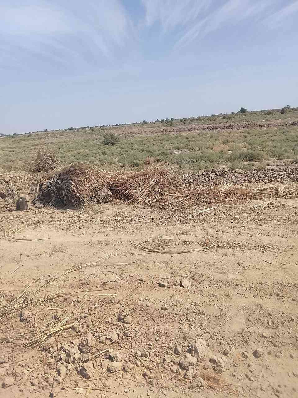 زراعي تتوفر فيها جميع الخدمات مي سقي كهرباء وتبليط مي اساله تبعد عن الشارع العام حله ديوانيه 400مترموقع الارض الطليعه خلف البانزين خانه للاتصال أو الاستفسار ***********
