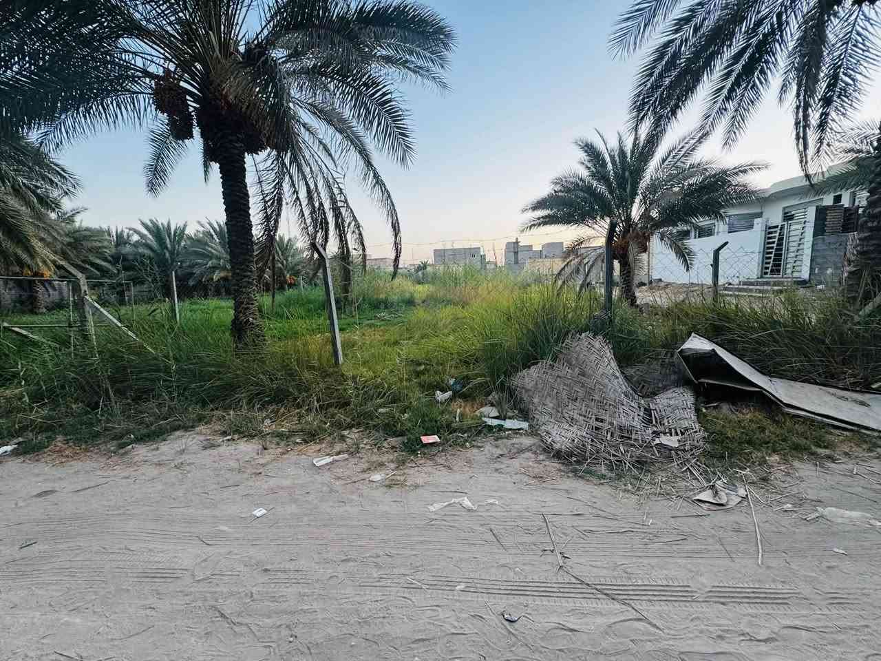 فرصة ذهبية لا تعوض في كربلاء المقدسة! 🏡✨
قطعة أرض واسعة ومميزة، مناسبة للسكن أو الاستثمار الناجح.
📍 الموقع: كربلاء - حي الإمامين
📐 المساحة: 1000 متر مربع
📜 النوع: طابو زراعي (سند 25)
💡 الخدمات: متوفرة بالكامل (ماء، مجاري، كهرباء)
💰 السعر المطلوب: 90 مليون دينار عراقي (قابل للتفاوض بحد معقول للجادين)
للاستفسار والحجز أو لمعاينة القطعة على الطبيعة، يرجى مراسلة الصفحة أو الاتصال على الرقم:
[***********]
