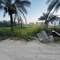 كربلاء حي الإمامين • ١٠٠٠م • طابو زراعي