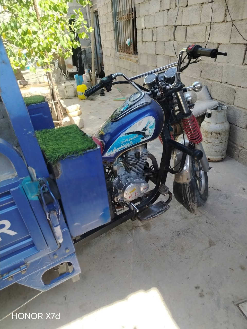 ستوه جمره فحل للبيع السعر والاستفسار خاص او الاتصال على الرقم *********** العنوان النجف الإشرف خان الربع عمود 173
