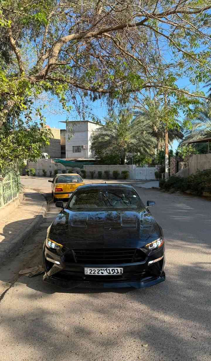سلام عليكم موستنك للبيع او مراوس GT 5000 موديل 2021 تراك بكج فول مواصفات كير عادي
دركه كاربون اصليه 
سقف روز 
بك لايت متغير 
اكزوز اكتف ٤ مودات بلادي 
شاشه دجتل عدادات بل دشبول 
كشنات تدفئه تبريد 
لايت امامي مال ٢٤ 
زنون عالي 
عليه تفريغ + برمجه 
سياره حاادثه تخريب جاملغ خلفي وباب 
وبيه بلعراق قطع صبغ ابيع احزام 
مكينه كير ما مفتوحه 
جاهزه سياره من كل نواحي 
شرط تحويل 
السعر مناسب اتصل متوفر واتساب وخادم للشراي عيوني الك 
رقم شاصي 

1FA6P8CF5M5110903

***********
‎مكاني بغداد
