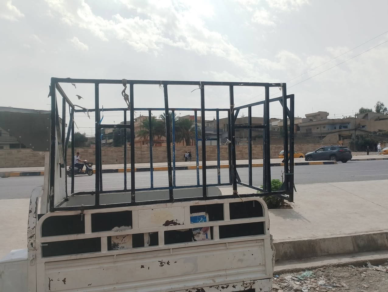 ستوته محجل • عالي • تل الرمان