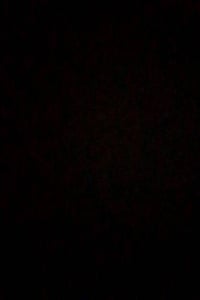 200 متر برگيه ويكينه ركن على الشارع ب88 وبي مجال