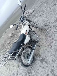 بارت • ٢٠١٩ • معمر جديد