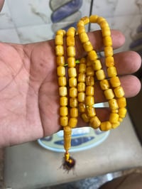 كهرب • بولوني شجري • ٣٣غ
