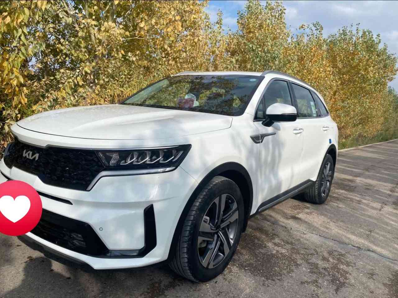 سلام عليكم.
للبيع Kia ￼ سورتنو موديل2023 (خليجي ) فول مواصفات ما عده البانوراما كير موس رقم أربيل بسمي تحويل ثاني يوم  السياره مكفوله من كلشي بس بارد بل باب جهت السايق مكان السياره ديالى بعقوبه 
*********** 
سعرها 265$ وبيها مجال بسيط
