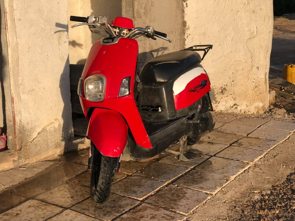 بوليس للبيع نوزل عوزها كلجات أمميه مكني كربلاء طوريج رقمي***********
