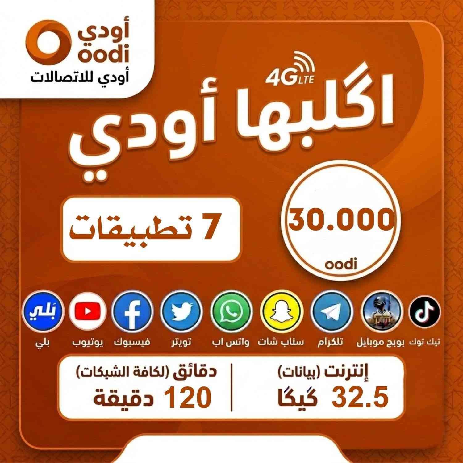 خط أودي • عروض • انترنت