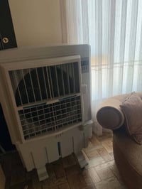 كونفيرة • حجم كبير • نظيفة