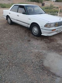 هارتوب • ١٩٩١ • الدجيلي