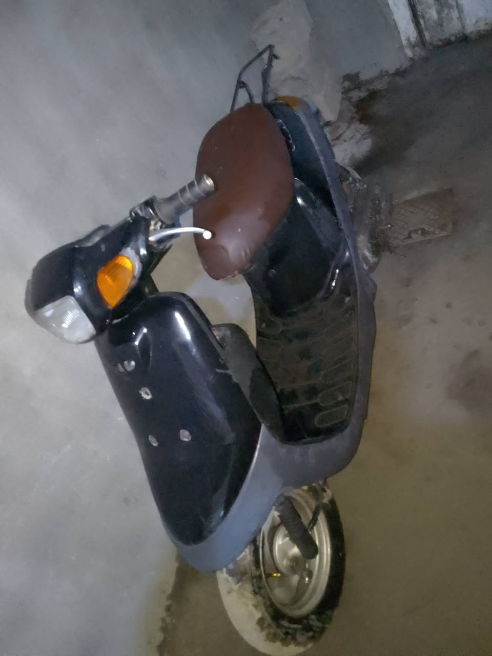 بطه بلاديه • فحل • نضيفه