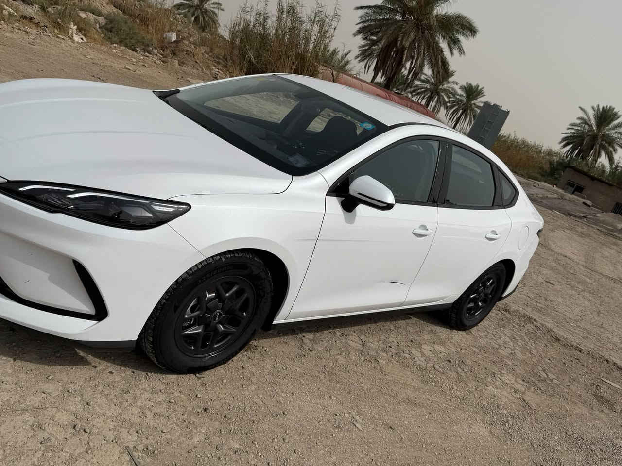سيل 5 • ٢٠٢٥ • زيونه