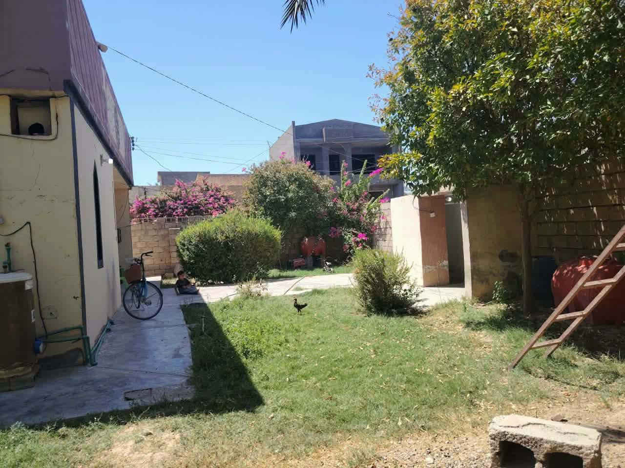🏠 دار للبيع في حي الفاروق 🏠

📐 الواجهة: 12 متر
📏 النزال: 23 متر
📄 معاملة طابو

📍 موقع مميز وقريب من مدرستين: ابتدائية وإعدادية
🛣️ منطقة مبلطة
💧 ماء متوفر
⚡ كهرباء متوفرة
✅ جميع الخدمات متكاملة

📞 للتواصل والاستفسار:
***********
