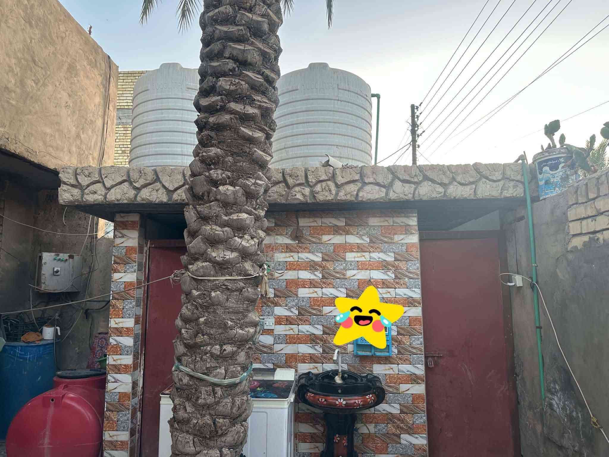 بيت ١٥٠طابو صرف تحويل ثاني يوم بسمي منطقه ال٤تلاف ثاني دربونه عن شارع العام قريب عل مدارس وسوك ومربع خير من الله ***********

نص مكتوب في الصور:
- +2