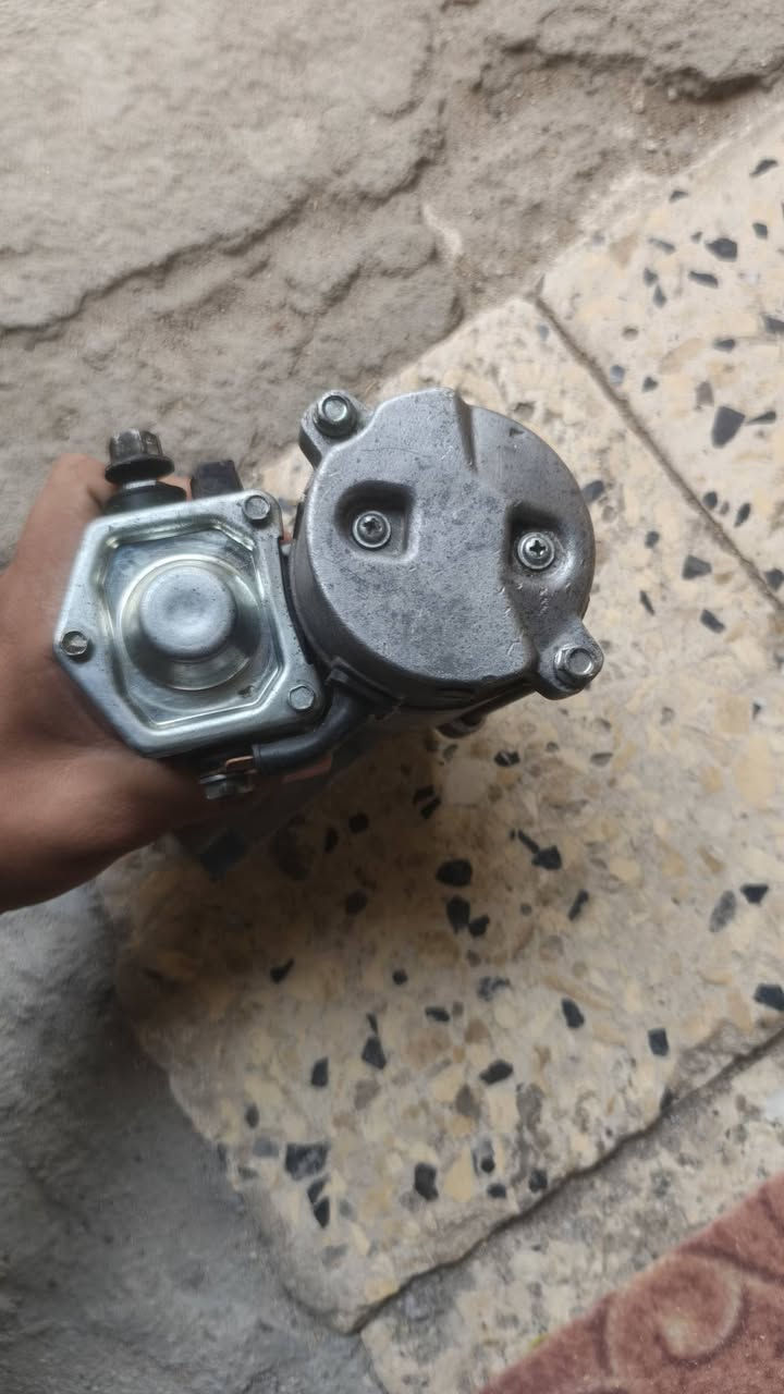 سلف دلفين • للبيع • تواصل