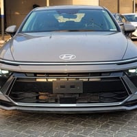 سوناتا • ٢٠٢٤ • صبغ قطعتين