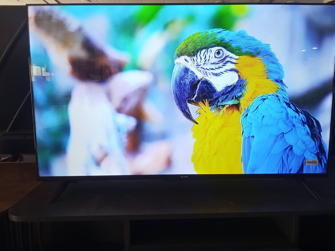 العنوان ناصريه
السلام عليكم:شاشة ليون حجم 50 بوصه جديده كرتون صار شهرين من أشتريته جاهزه الدقه4k اشغلك مقاطع 2100 يعني دقه ممتازه مثل ما موجود بالفيديو،السعر 375 وبيهه مجال للشراي ،محتاج فلوس واريد ابيعه الله شاهد،تجي تاخذ شاشه بالكرتون مال الشركه.
للاتصال الرقم ***********
العنوان طريق ناصريه غراف قرب ملعب الأدراه قيد الانشاء
