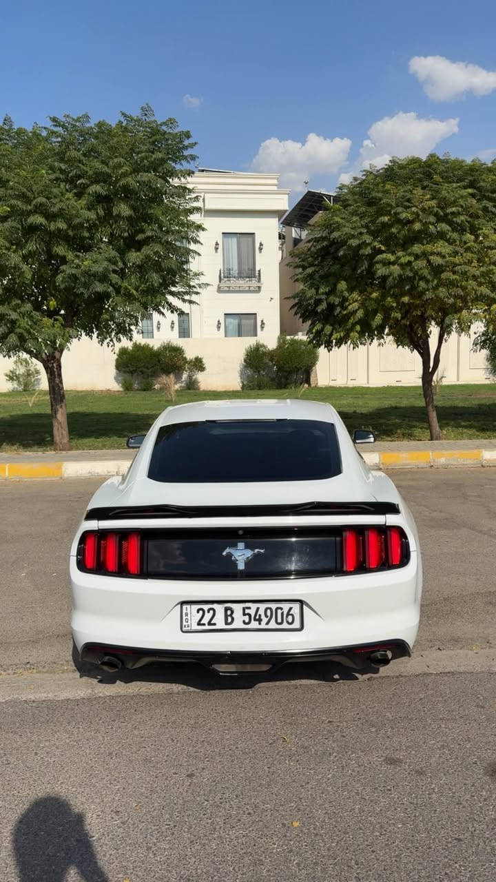 فۆرد مۆستانگ مۆدێل ٢٠١٦ V6
سەیارەکە بە پاکی ماوەتەوە 
تەنها بۆنیتی بۆیاخە و دوو جێی pdr
ئیرباگ سوکان سیستەم کراوە 
غرامەو بەناوکردن بەشەرت 
شوێن : هەولێر
*********** أربيل, العراق
