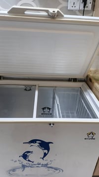 مجمدة • شغالة • ابو دشير