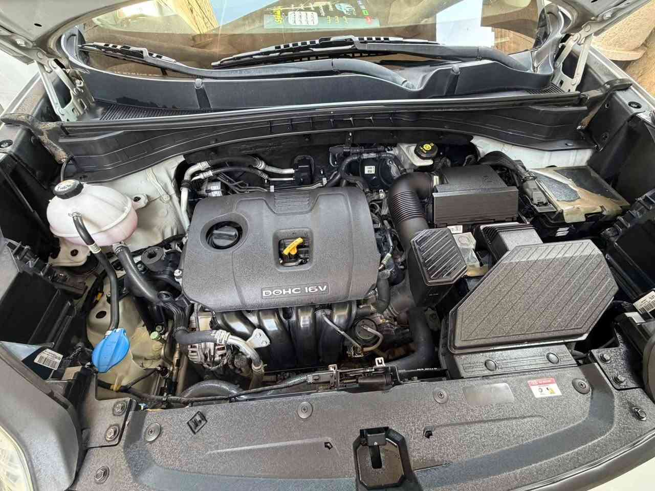 سبورتاج • ٢٠١٧ • رقم بغداد