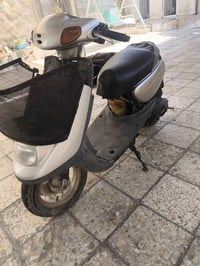 زنبوره بطه • شغاله • كهربايات كاملة