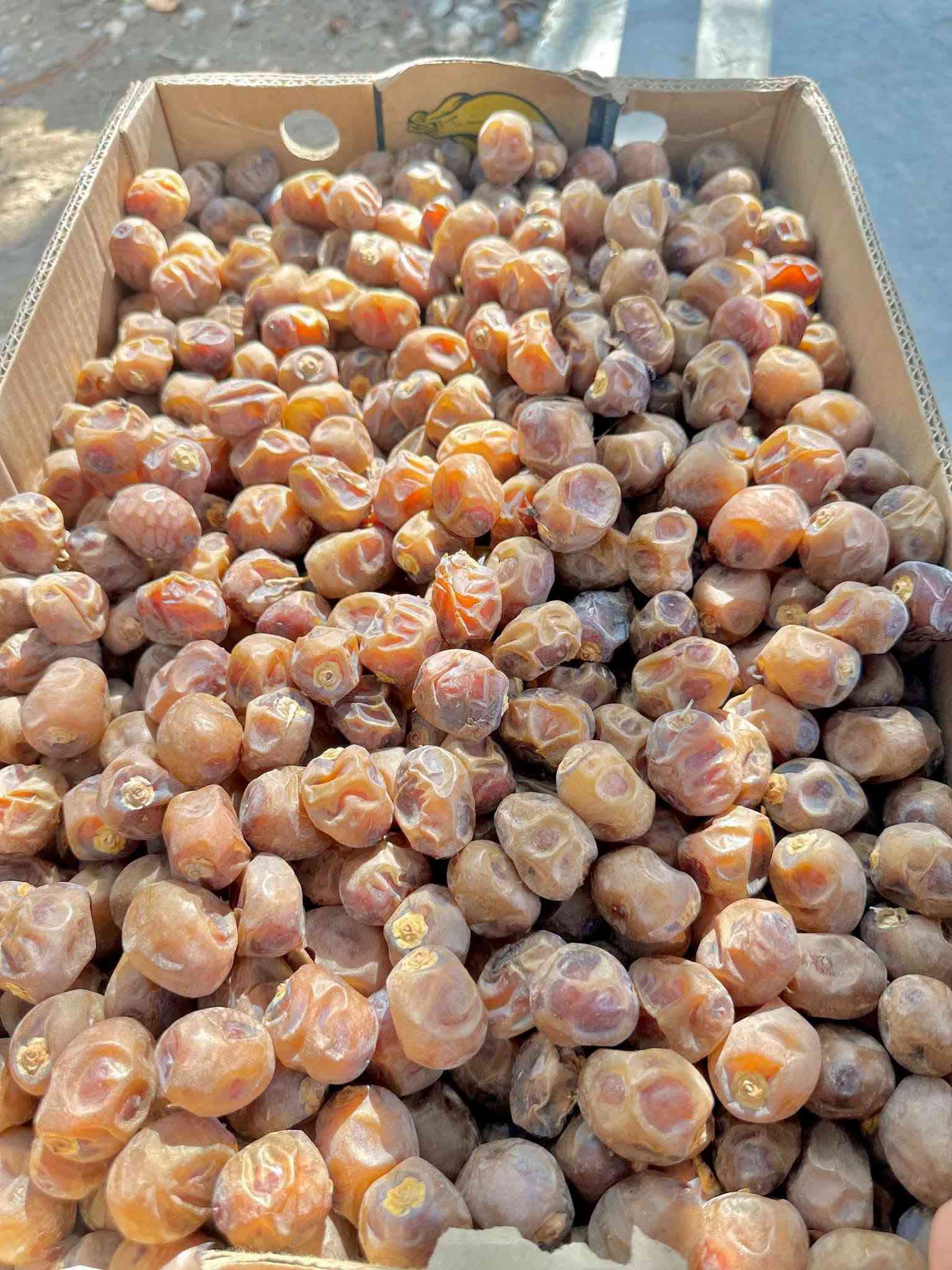 واتساب فقط • توصيل الطارمية • تمر برحي