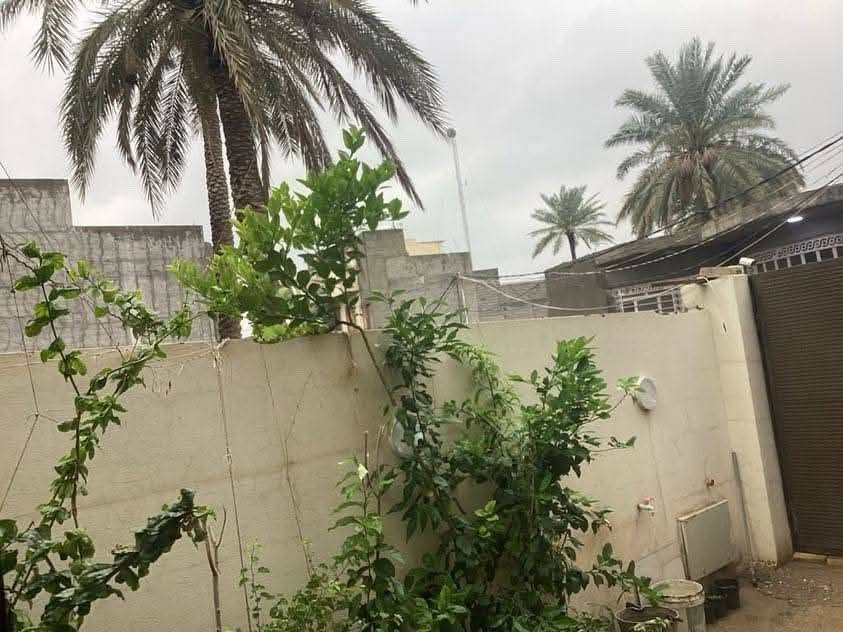 السلام عليكم
دار للبيع مساحته ١١٣ م مربع زراعي سند 25 الموقع بعقوبة سبعة نيسان خلف السدة قرب جامع جاسم الناصر بناء حديث و متوفرة كامل الخدمات و الشارع تبليط، الدار يحتوي مطبخ و استقبال و غرفة نوم و صالة كبيرة و صحيات الطابق الثاني يتكون من صالة كبيرة و سطح السعر 90 مليون قفل للاستفسار اكثر خاص او الاتصال بالرقم ***********
