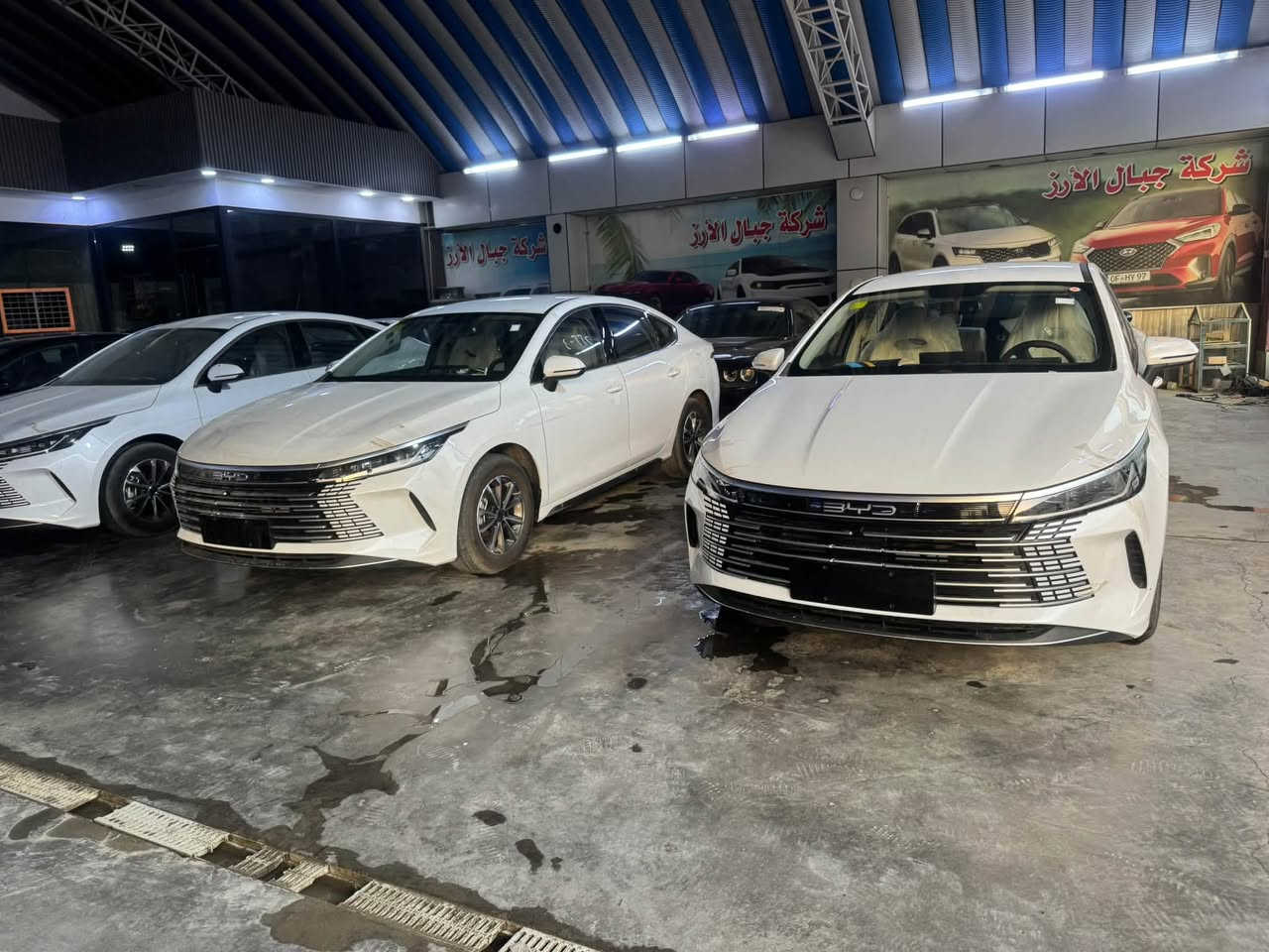 مكلف بالنشر & مكلف بالنشر 
السلام عليكم 
يعلن معرض جبال الارز 
المكان بابل / الحله
عن وصول وجبه جديده من 
بي واي دي دستروي زيرو
موديل 2026 
ملحقات كامله 
فول مواصفات قماره حديد 
بإسعار تنافسيه 
يترقم جميع المحافظات 
بدون دلاليه واجور عامل 
زورونا وكل الهلا بيكم 
للاستفسار الاتصال 
***********هاتف
