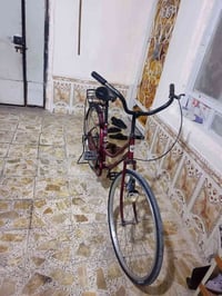 بايسكل • مجال رقمي • واتساب