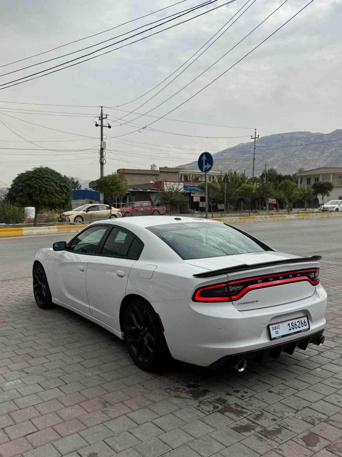 چارينجه • ٢٠١٧ • سوران