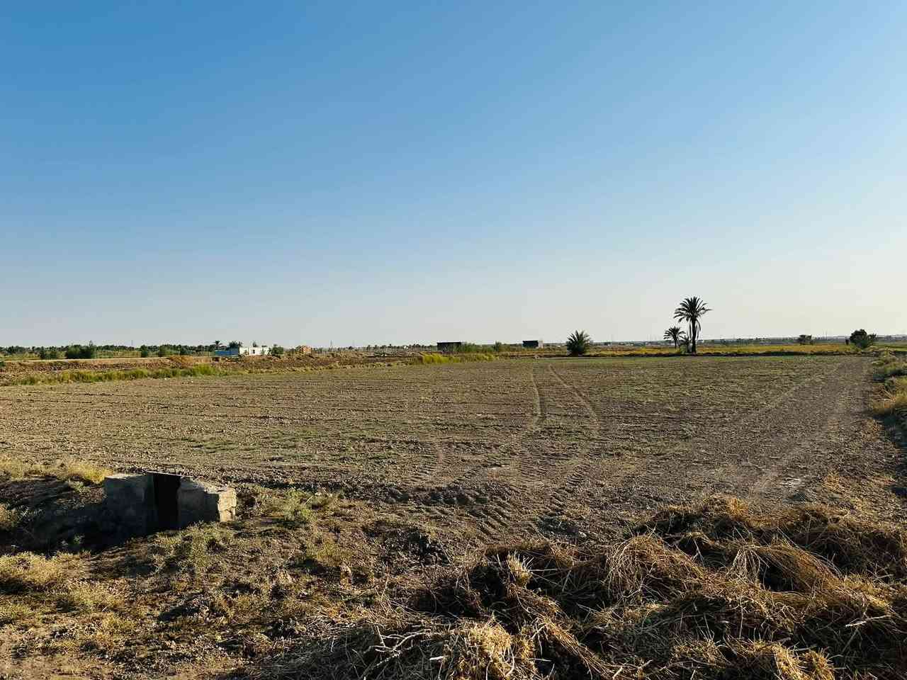 زنكورة الرمادي • ٢ دونم • طابو زراعي