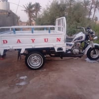 ستوته 21 • اوراق كامله • مكفوله