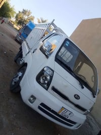 حمل فحل • ٢٠١٤ • الصابيات