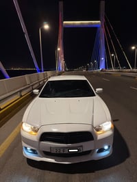 جاجر • ٢٠١٤ • بصرة