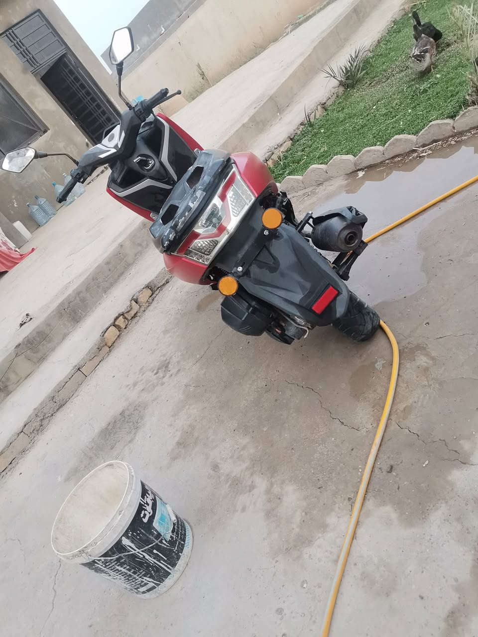 هوشا F38 • ٢٠٢٣ • كهربائيات شغالات