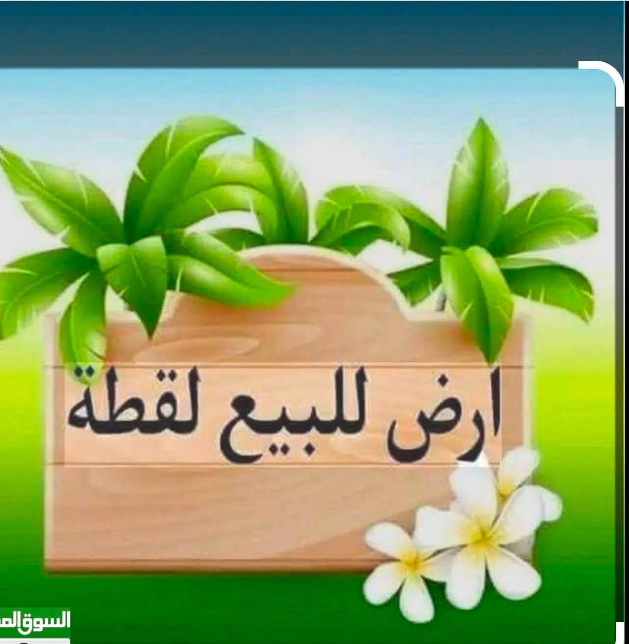 السلام عليكم قطعه البيع المساحه 500مترً سند ٢٥مداور مباشر
خدمات كامله ماي كهرباه تبليط 

الموقع الدغاره هور الجبور شارع ٣٠موقع كلش حلو 

السعر ٢٩مليونً الاستفسار نتصل وتدلل ***********
