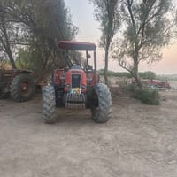 تومسان • ١٠٥ • مكفوله