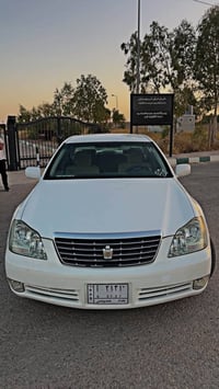 شاهینە پاکەتی • ٢٠٠٥ • زەرد