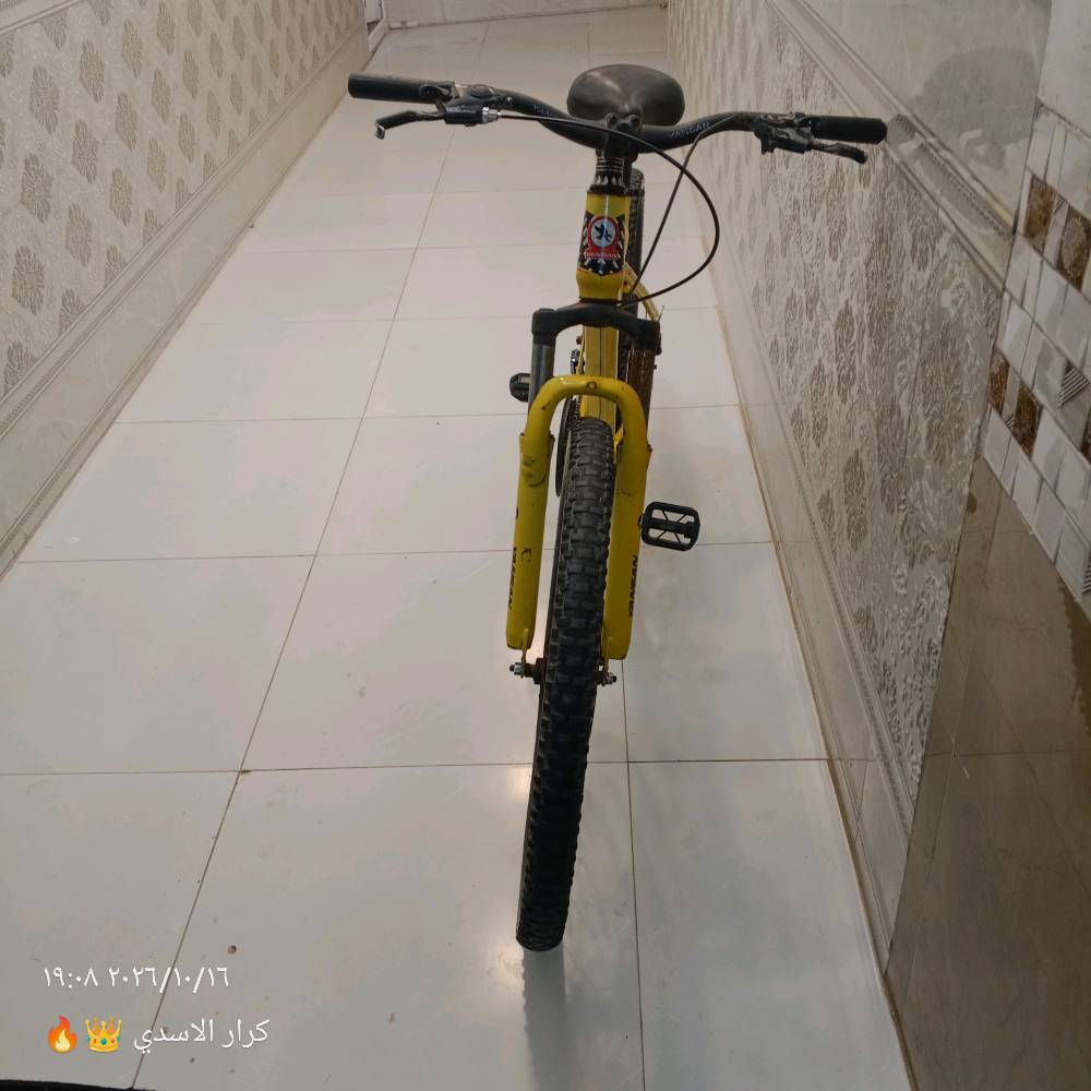 بيسكل • ياباني أصلي • نضيف