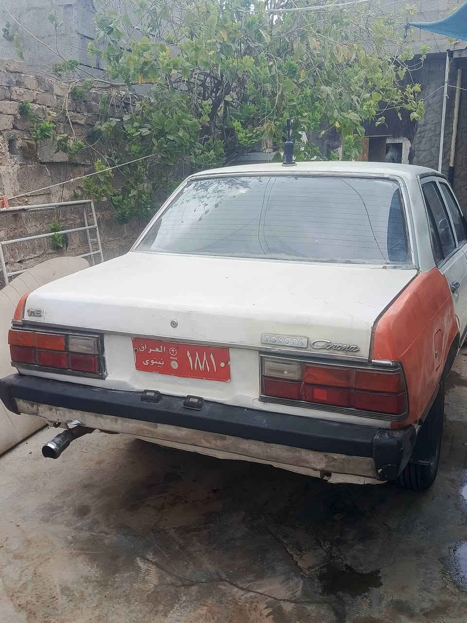 سلام علیک کرونە لبیع کیر محرک بل شرت مودیل 1981 ساحبە بل کرکوک مکان سیارە کرکوک  ‏‪***********‬‏
