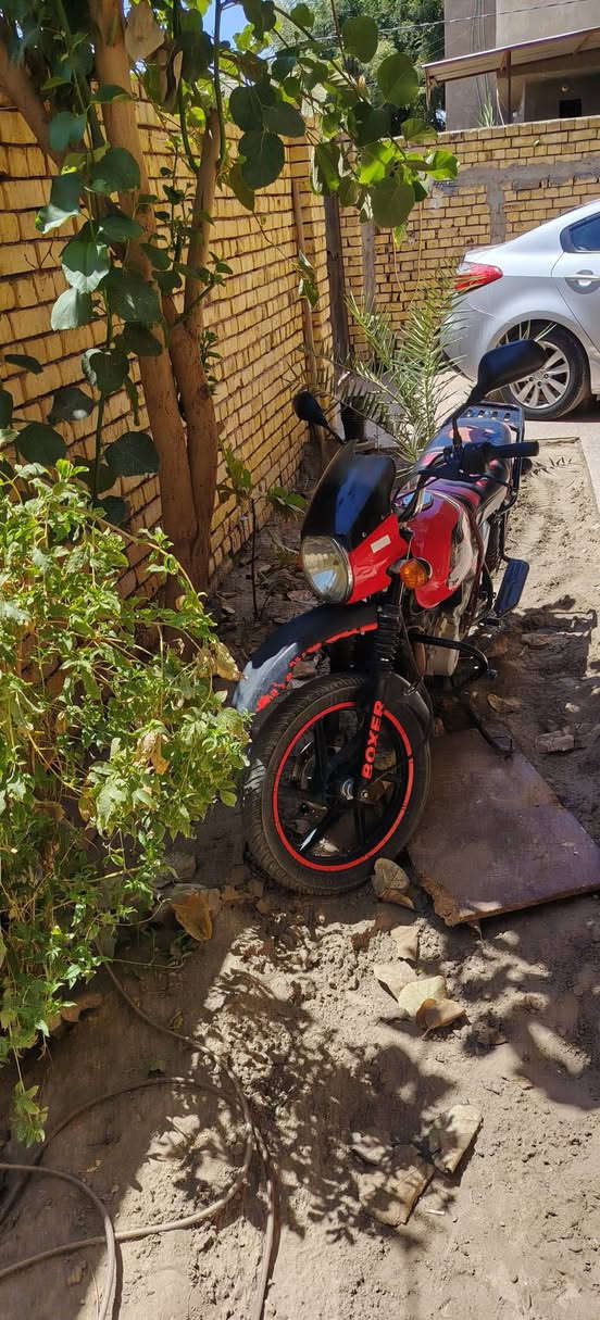 السلام عليكم بوكسر جبلي موديل ٢٠٢٠ مرقم باسمي للبيع
رقم الهاتف ***********
***********
